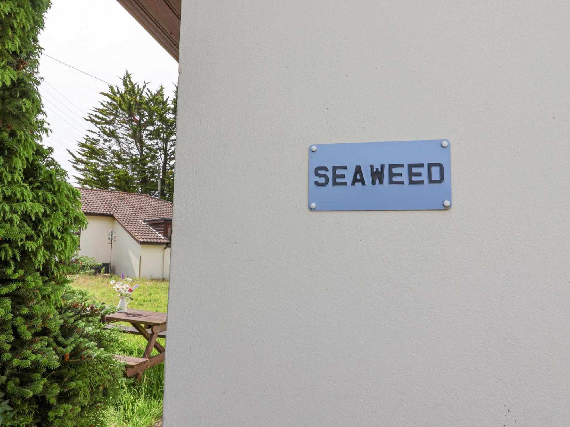 Вілла Seaweed Сідмут Екстер'єр фото